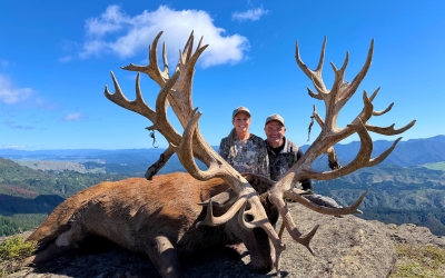Hunting in New Zealand: Ivory Cliffs Estate