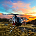 Tahr Hunting in New Zealand: What Hunters Need to Know