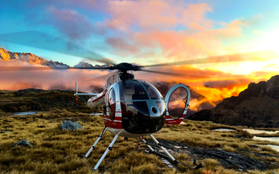 Tahr Hunting in New Zealand: What Hunters Need to Know