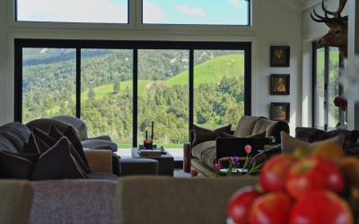 What Is Red Stag Hunting in New Zealand Really Like?