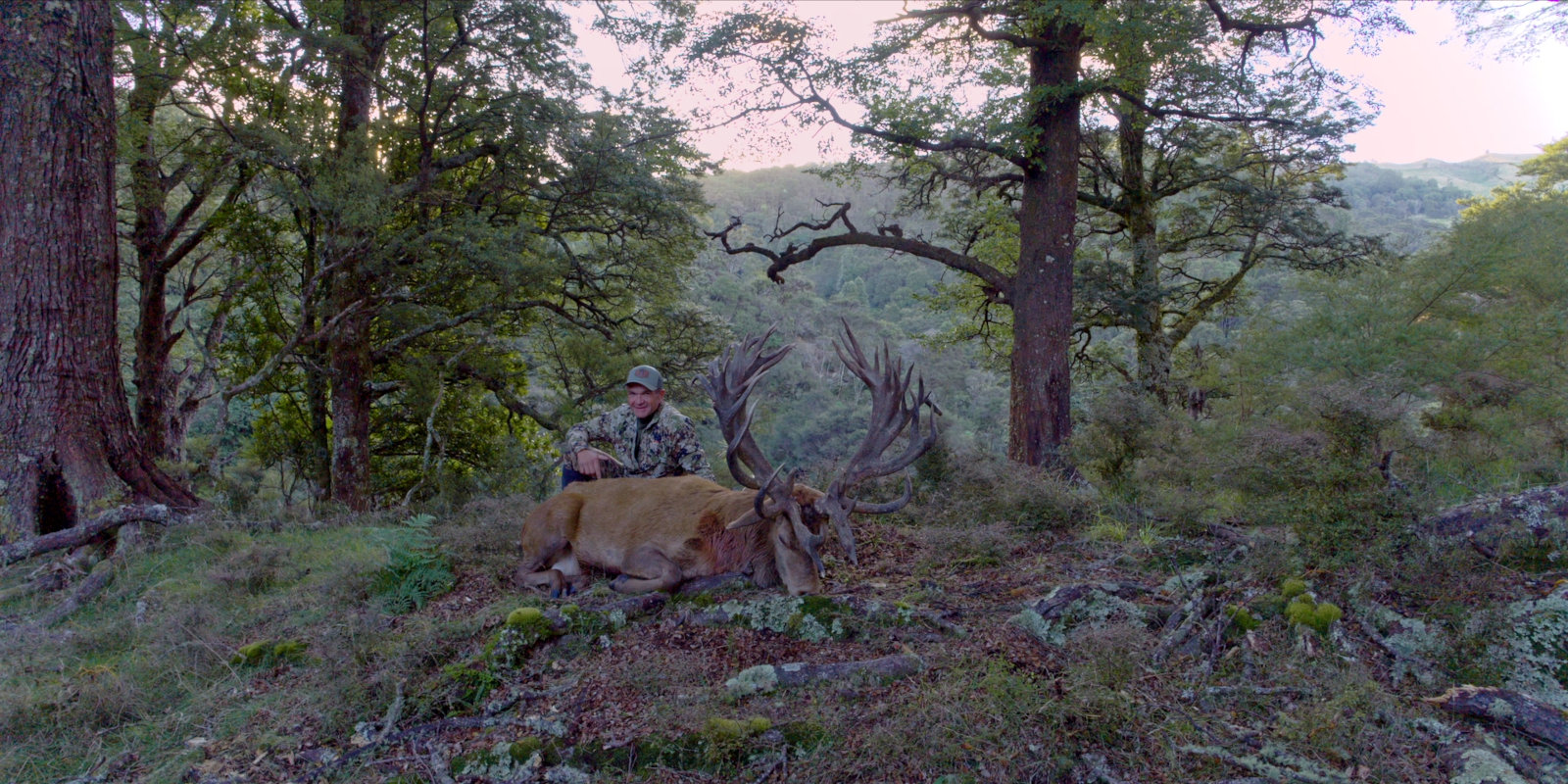 New Zealand Red Stag Hunting Package. 