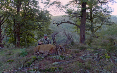 Hunting in New Zealand: Ivory Cliffs Estate