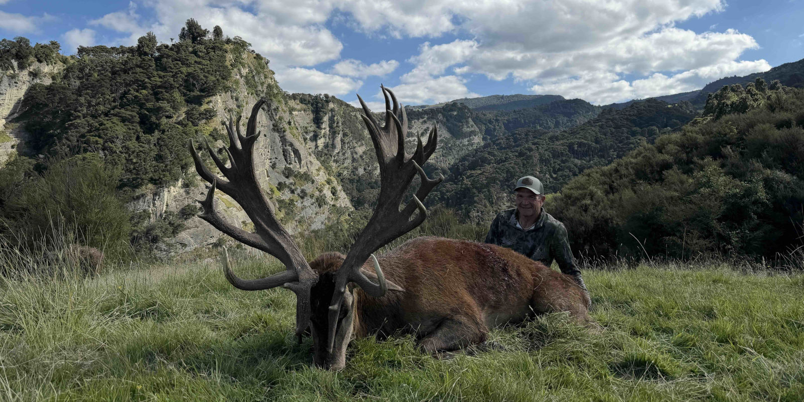 New Zealand Red Stag Hunting Packages. 