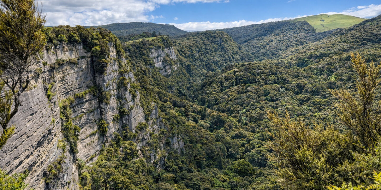 Travel to New Zealand.