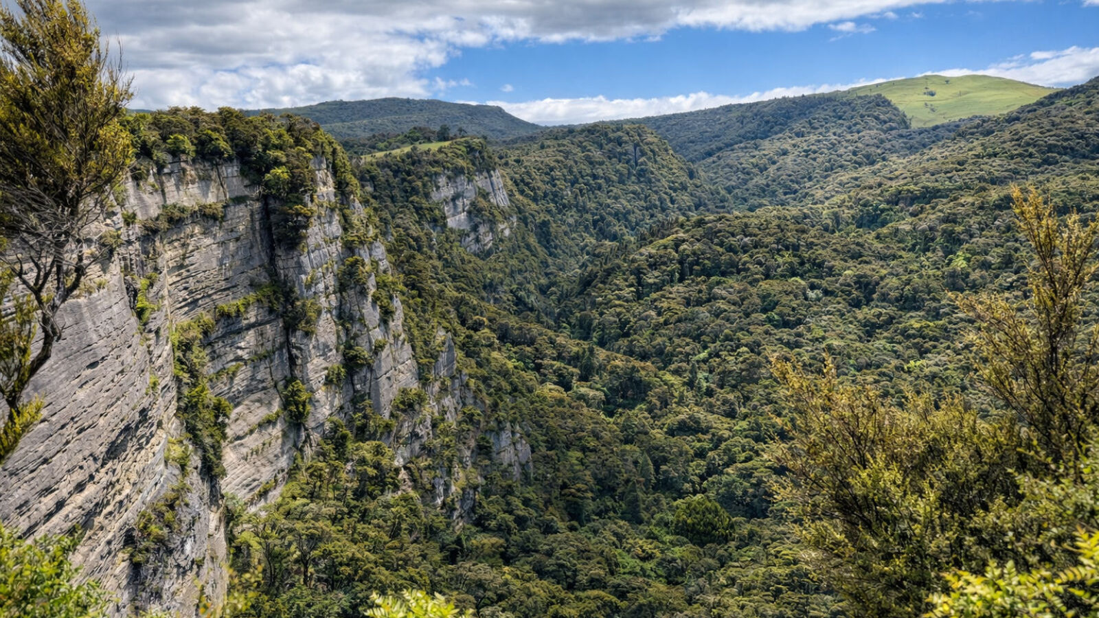 Ivory Cliffs Estate Luxury Hunting Lodge. 