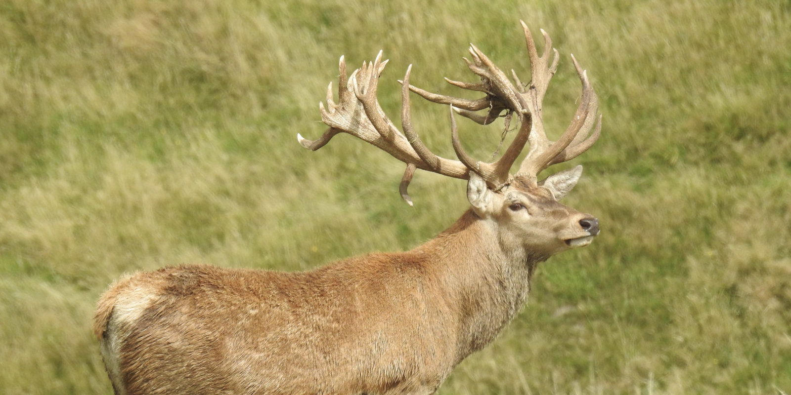 Contact Ivory Cliffs Estate. 