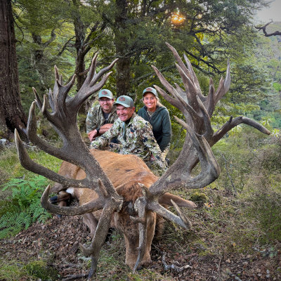 Ivory Cliffs Estate Red Stag