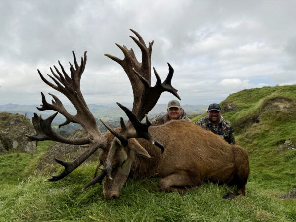 Rodney Humbert with his Red Stag at Ivory Cliffs Estate