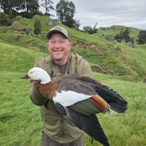Paradise Duck