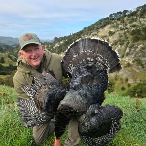Turkey hunting