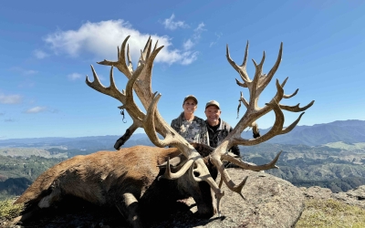 How Much Does a New Zealand Red Stag Hunt Cost?