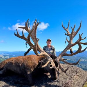 Red Stag 747 Inches