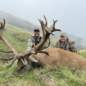 Red Stag 425-450
