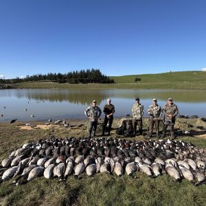 Waterfowl hunting