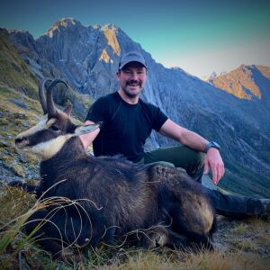 Chamois Buck