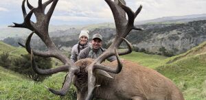 Red Stag 400-425