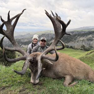 Red Stag 400-425