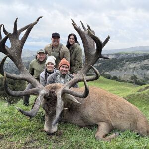Red stag 400-425