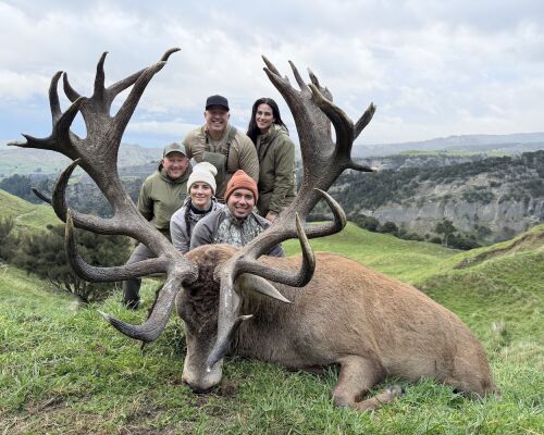 Red Stag