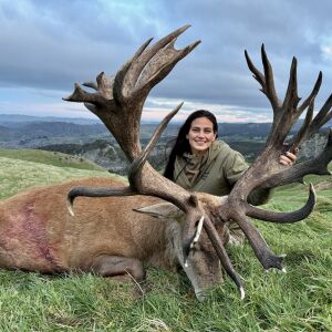 Red Stag 475-500