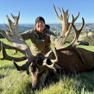 Red Stag 450-475