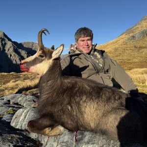 Chamois