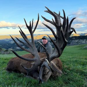 Red Stag 600