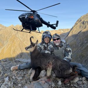 Chamois Buck
