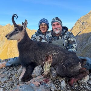 Chamois Buck