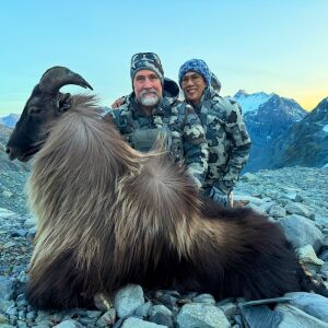 Bull Tahr
