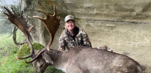 Fallow Buck
