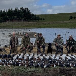 Waterfowl 