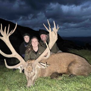Red Stag 400-425 Inches