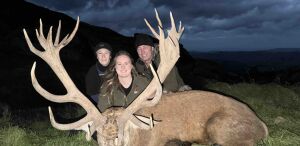 Red stag 400-425 Inch