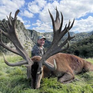 Red Stag 476 Inches