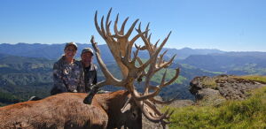 Red Stag 747 Inch