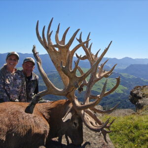 Red Stag 747 Inch