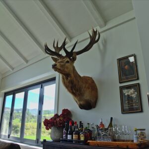 The lodge bar