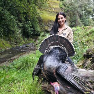 Turkey hunting