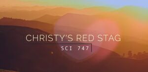 Cristy's Red Stag - SCI 747