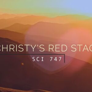 Cristy's Red Stag - SCI 747