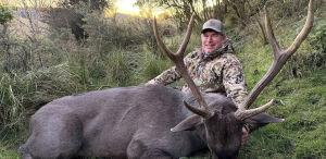 Sambar
