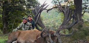 Red Stag 600-625