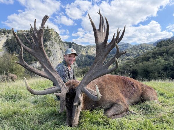 Red Stag SCI 475 - 500. 
