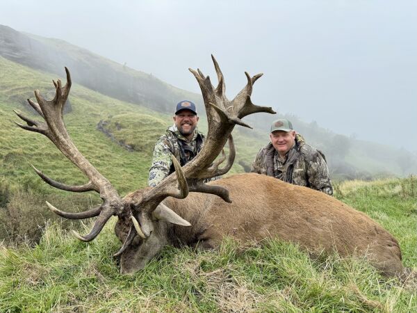 Red Stag Hunt SCI 425 - 450. 