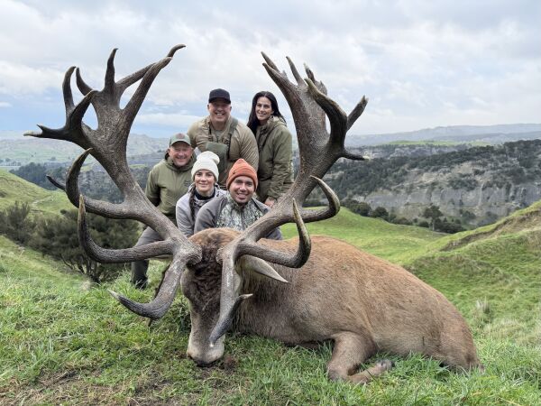 Red Stag Hunt SCI 400 - 425. 