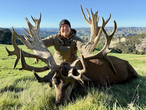 Red Stag SCI 450 - 475. 
