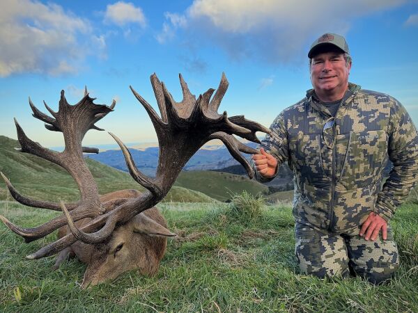 Red Stag Hunt SCI 500 - 525. 
