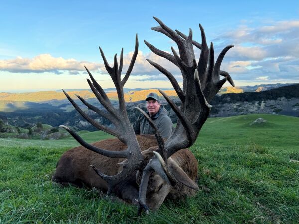 Red Stag SCI 525 +. 