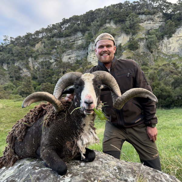 I would come back in a heartbeat!. 